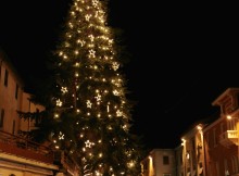 Il maestoso albero albero di via Cavour.