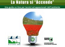 La-natura-si-accende-800x598
