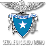 Logo_CAI