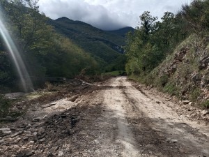 L'area della strada provinciale che porta da Buonconsiglio di Frotnone alla cima del Catria (Val Piana)