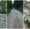 Collage Pantana