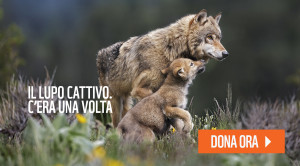 visual_lupo_web_dona_1960x1083